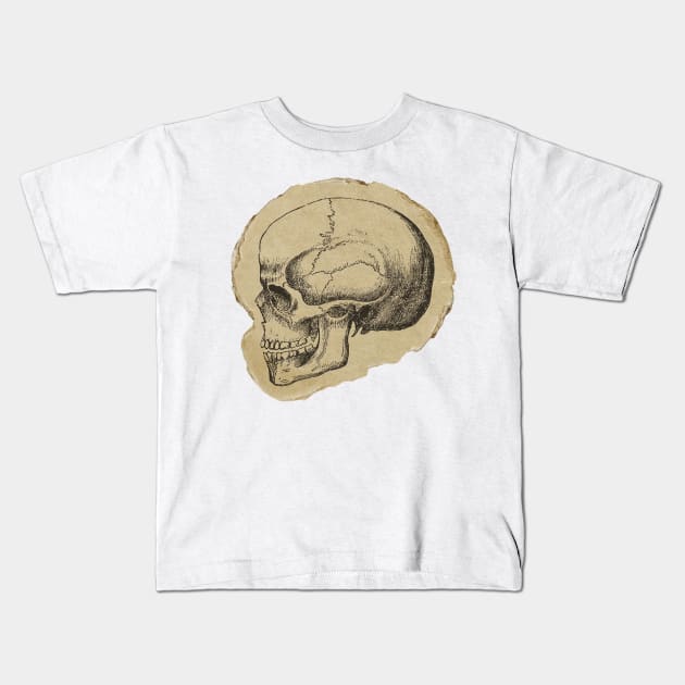 vintage skeleton drawing on paper cutout Kids T-Shirt by saraholiveira06